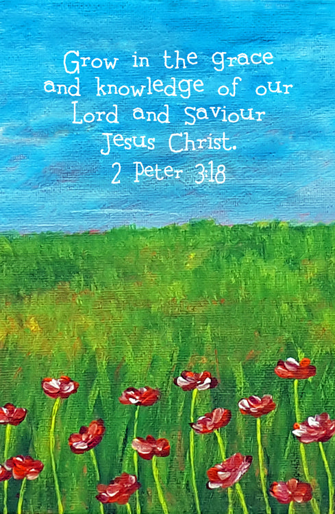 2 Peter 3:18 Sunlit Skies Print